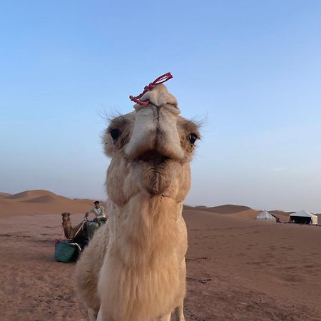 Camp Sahara Life Otel M'Hamid Dış mekan fotoğraf