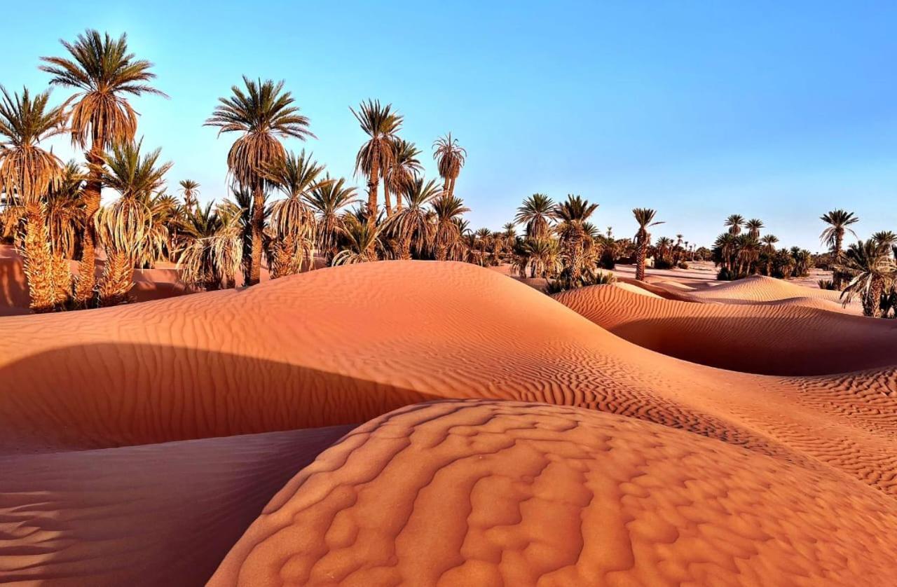 Camp Sahara Life Otel M'Hamid Dış mekan fotoğraf